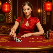 Casinozer - Baccarat Table Game